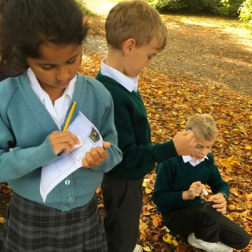 Y3 Botanic Garden trip 3